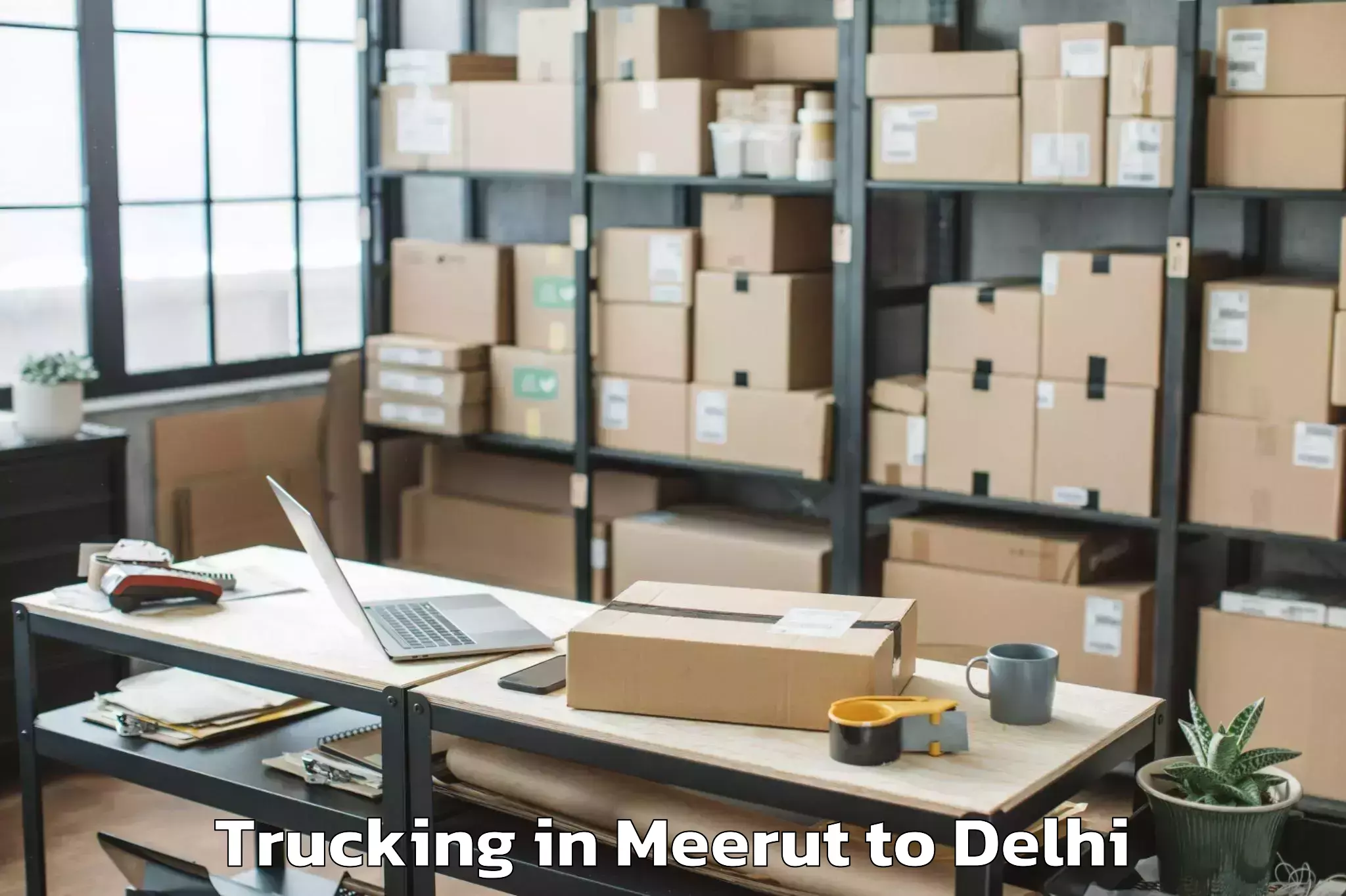 Comprehensive Meerut to Flatted Factory Complex Okhla Trucking